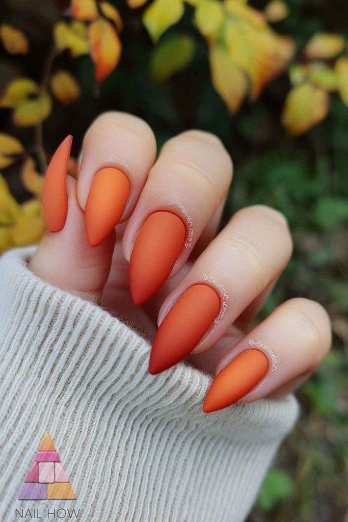 fall nail designs 207 https://nailhow.com/fall-nail-designs/