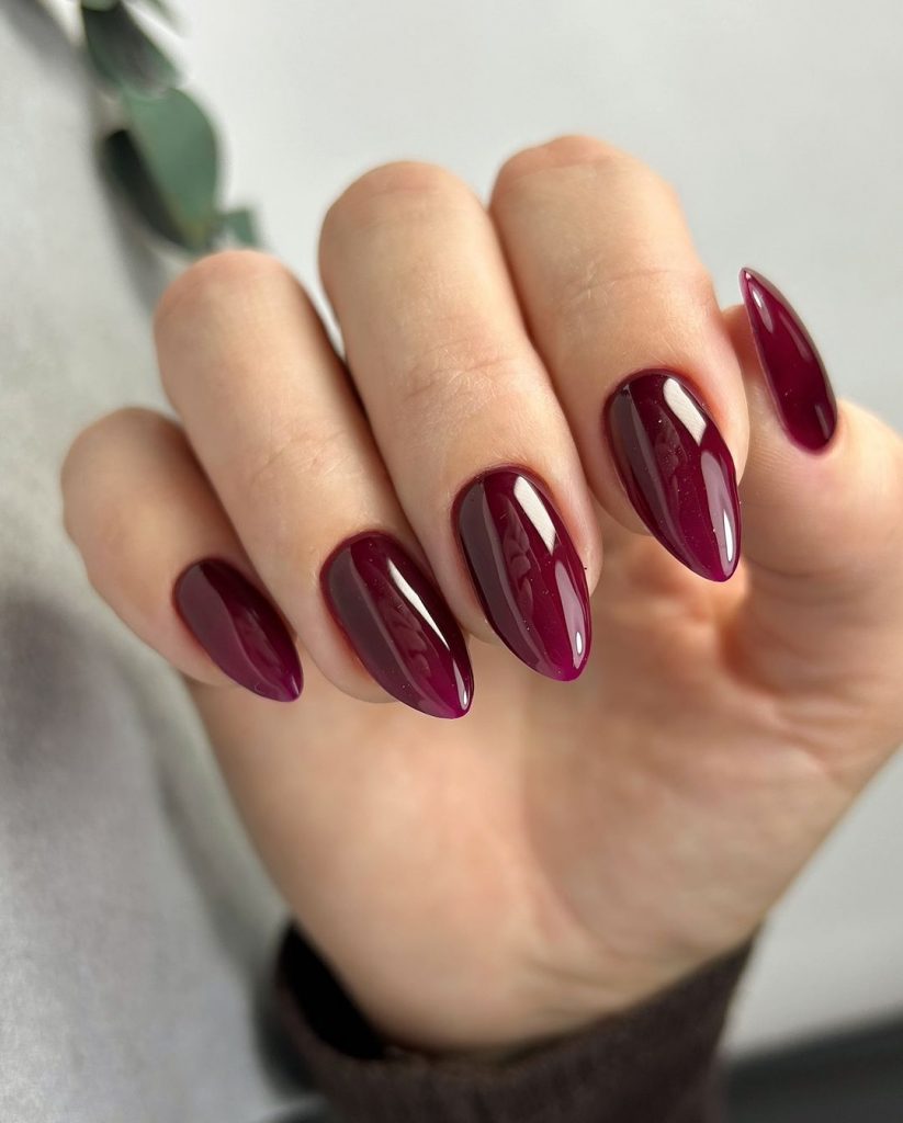 Burgundy Fall Nails 25 Ideas: Elevate Your Autumn Style