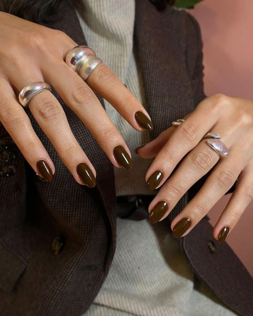 Fall Brown Nails 2024 25 Ideas: The Ultimate Guide to Trending Designs