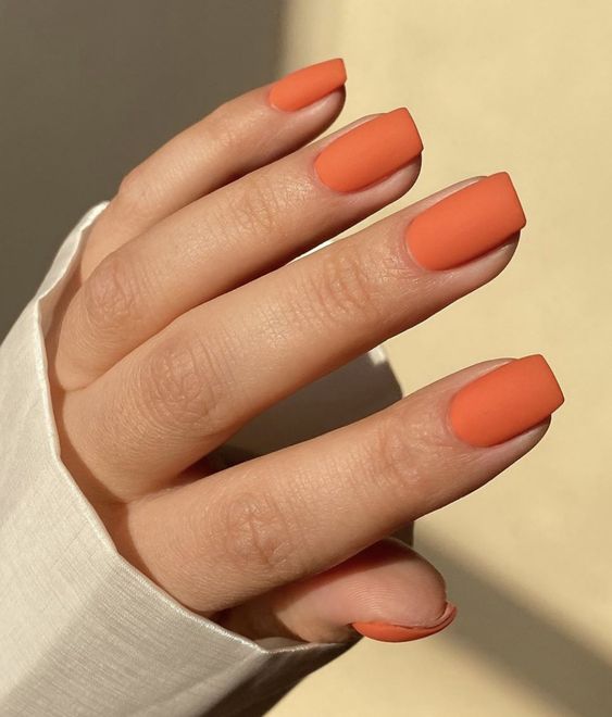 Summer Nail Colors 2024 75 Ideas: Your Ultimate Guide to Seasonal Chic